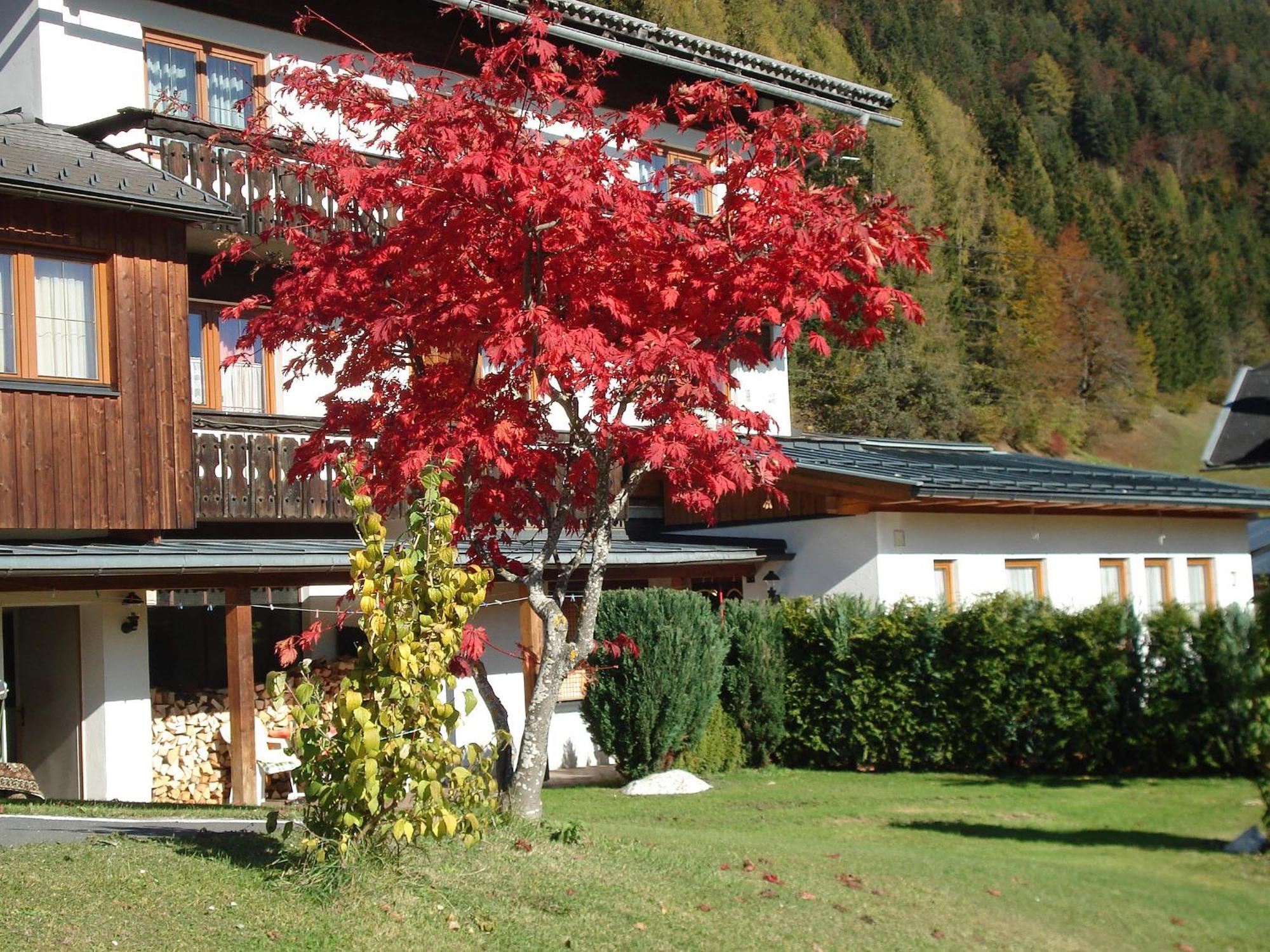 Ferienwohnungen Plattner Weissensee Exteriör bild
